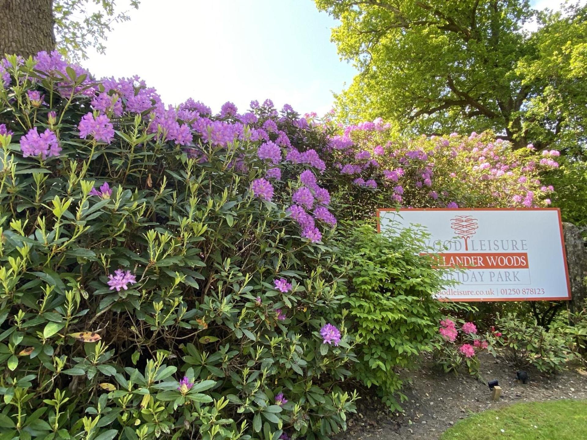 Callander Woods Holiday Park 外观 照片