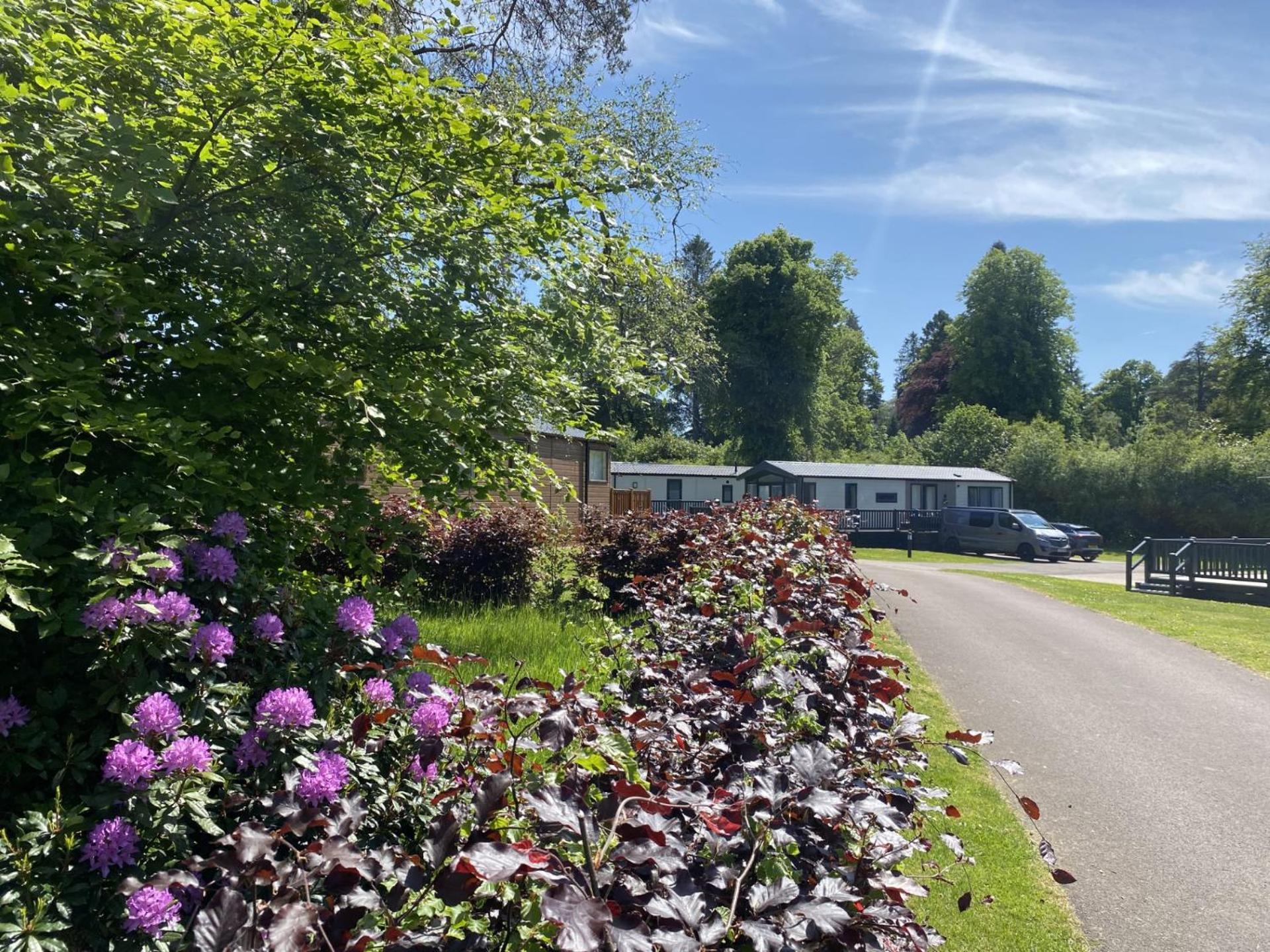 Callander Woods Holiday Park 外观 照片
